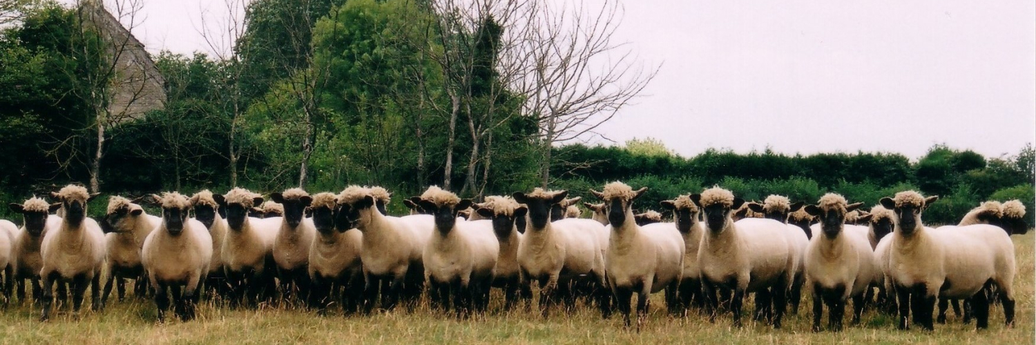 Oxford Down Sheep Breeders Association