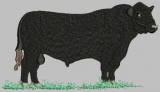 Embroidery examples