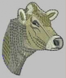 Brown Swiss