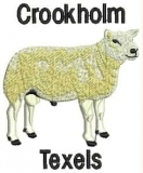 Texel
