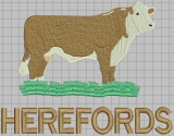 Hereford