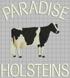 Holstein