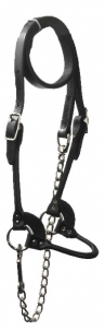 Sullivan's Classic Leather Rolled Show Halters -  image 1