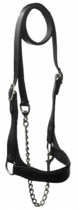 Sullivan's Classic Leather Flat Strap Show Halter -  image 1