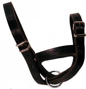 Flat Leather Sheep Halter -  image 1