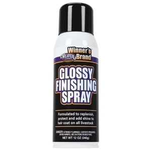 Winner's Brand Glossy Finishing Spray -  image 1