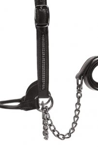 Winner's Brand Dark Dazzle Show Halters -  image 2