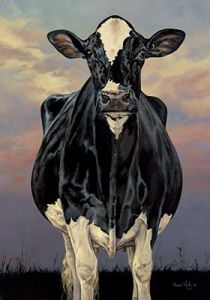 Have Holsteins -  image 1