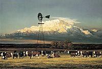 Summer Pastures -  image 1