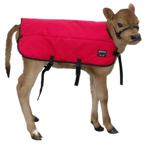 Calf Blanket  -  image 1