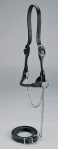 Nasco's Round Strap Leather Show Halters