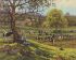 Enchanted Pastures