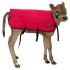 Calf Blanket 