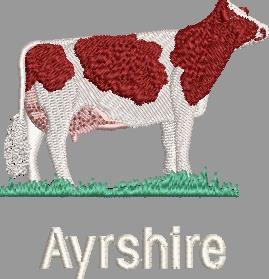 Ayrshire