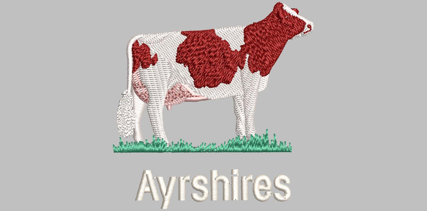Embroidery examples