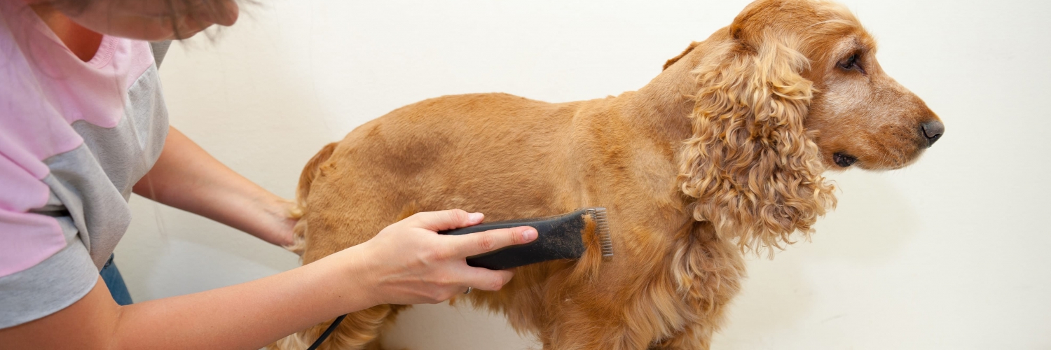 Dog Clippers