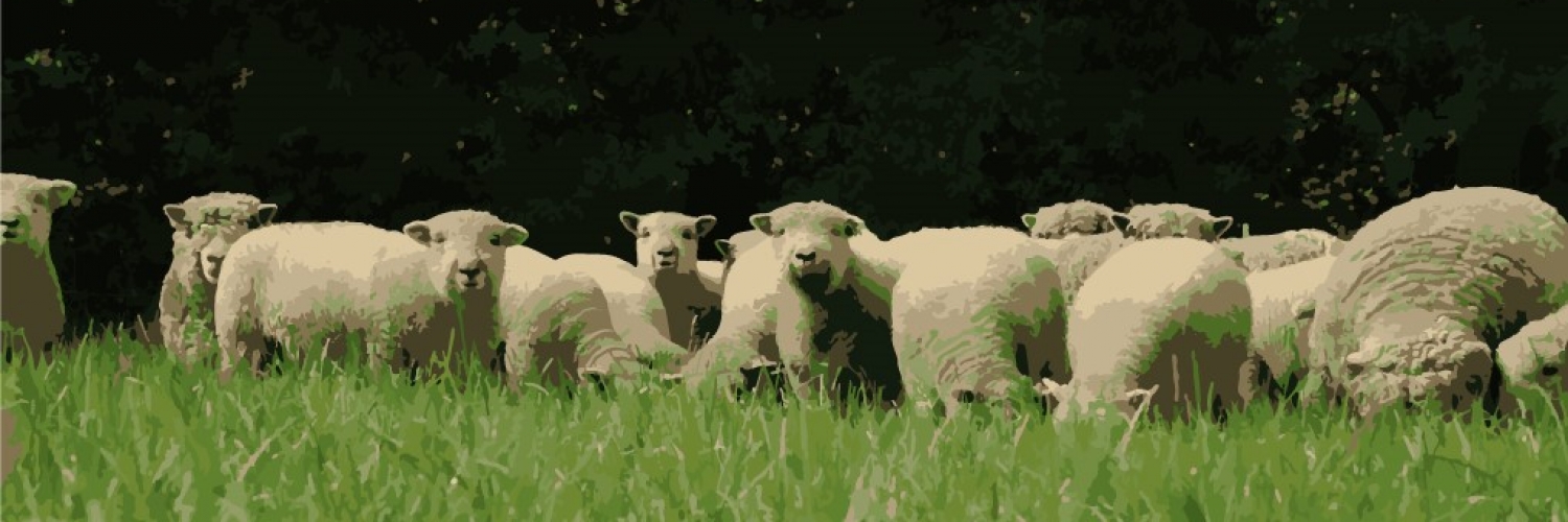 Southdown Sheep Society