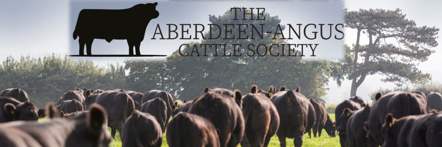 Aberdeen-Angus Cattle Society