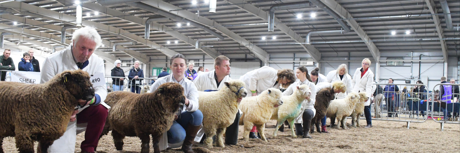 Smallholding Scotland