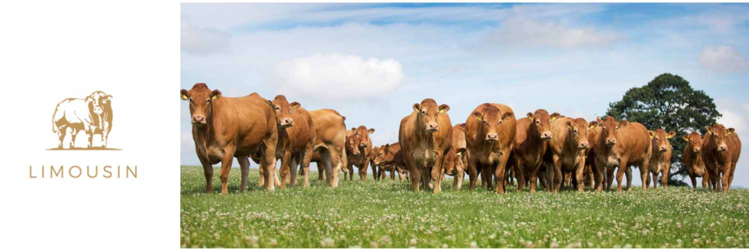 Limousin Society Clothing