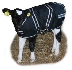 Cosy Calf Jackets