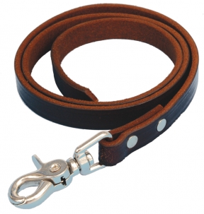 Sullivan's Leather Nose Lead