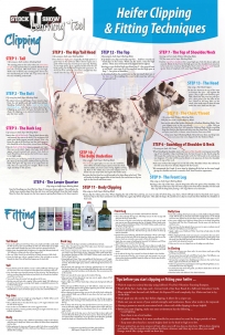 Sullivan's Heifer Clipping & Fitting Techniques Poster