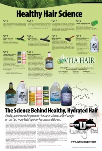 Sullivan's Healthy Hair Science Poster