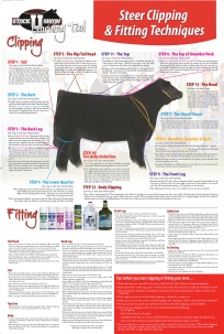 Sullivan's Steer Clipping & Fitting Techniques Poster