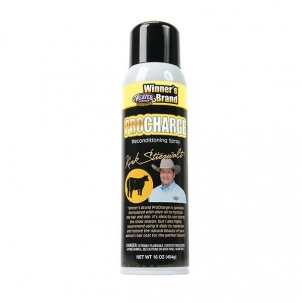 Winner's Brand ProCharge Reconditioning Spray