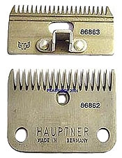 Hauptner Cattle Standard Blade