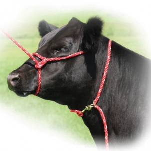 Sullivan's Rope Halter