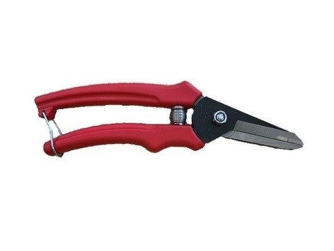 ShowTime Lightweight Foot Rot Shears 