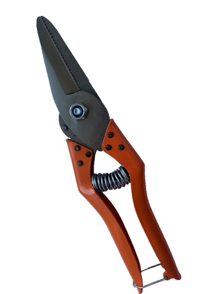 Heavy Duty Serrated Foot Rot Shears