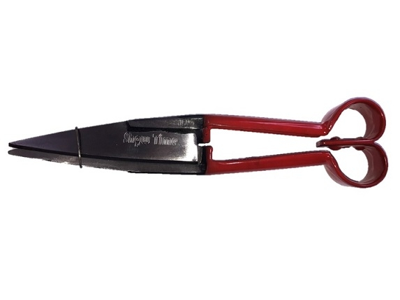 ShowTime Sheep Shears
