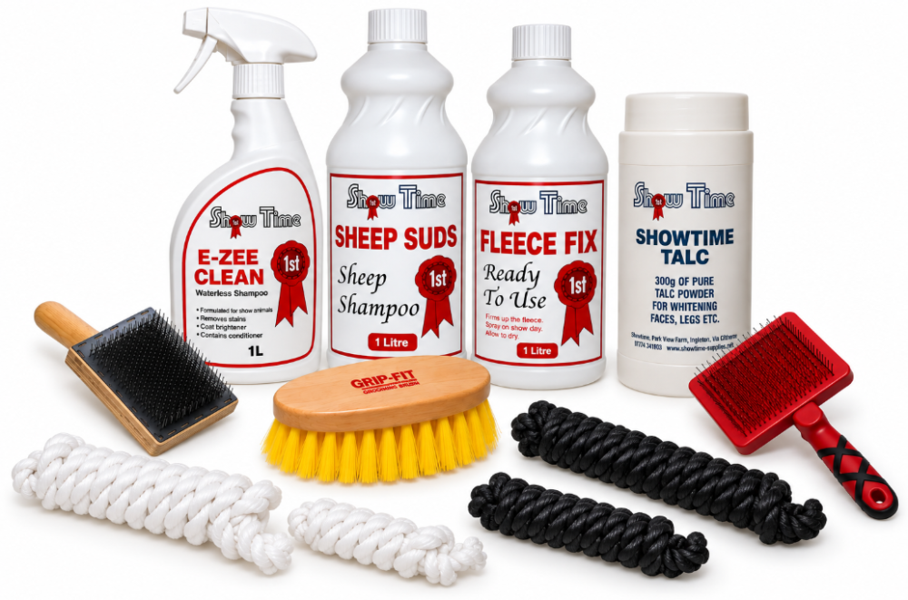 Children's Sheep Kit