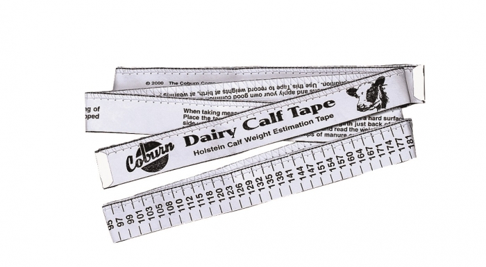 HOLSTEIN DAIRY COW WEIGH TAPE